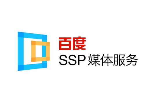 如何选择合适的服务器来搭建蜘蛛池